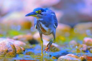 世界杯什么时候开始的第一届世界杯什么时候开始的第一届