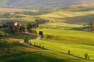 2022年卡塔尔世界杯亚洲区预选赛国足最新赛程世界杯亚洲区预选赛国足最新赛程